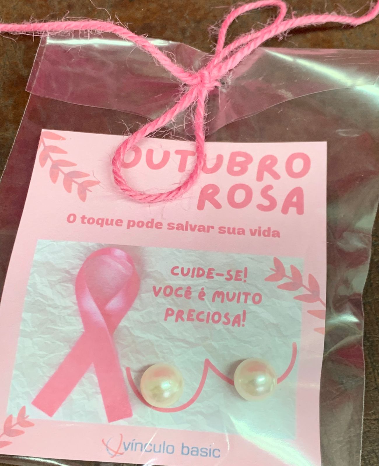 Rede Feminina na empresa Vínculo Basic falando sobre prevenção e o trabalho da rede feminina de Brusque
